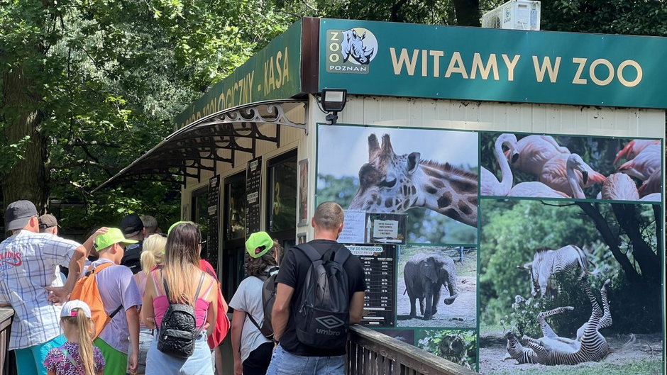 Zoo Poznań fot. Codzienny Poznań