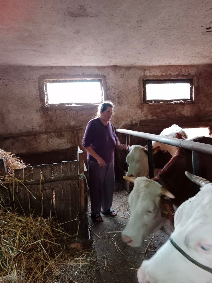 Gazdinstvo Jovanović