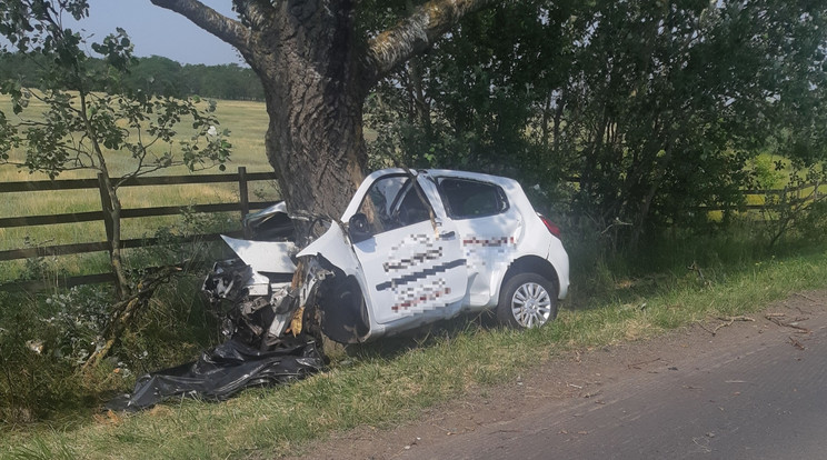 A balesetben az autós életét vesztette, a környéket lezárták a műszaki mentés idejére / Fotó: police.hu