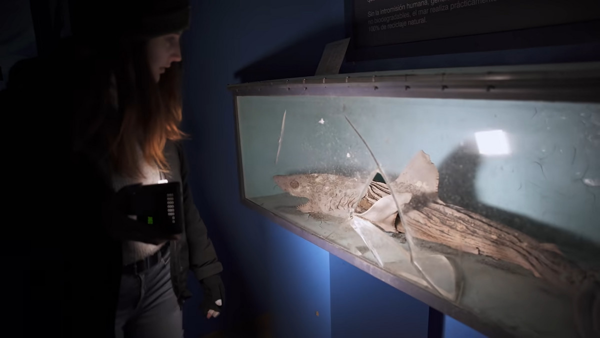 W opuszczonym akwarium straszy nie tylko martwy rekin. Nagranie jak z horroru