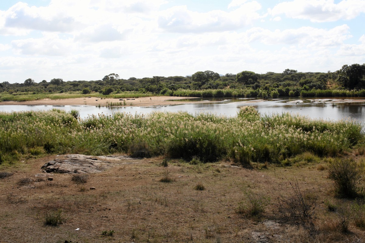 RPA. Odkrycie skrytokreta