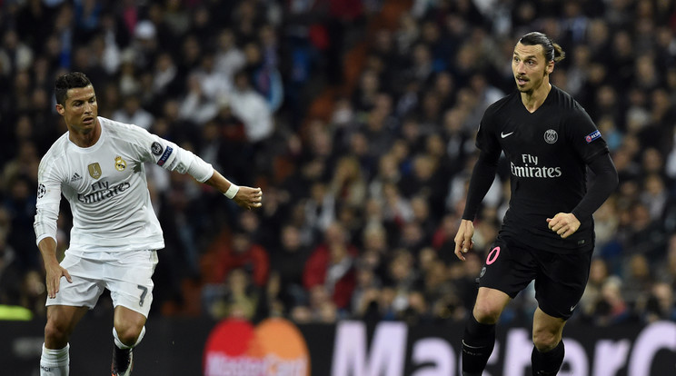 Ronaldo és Ibrahimovic spermáját szeretné a fociedző /Fotó: AFP