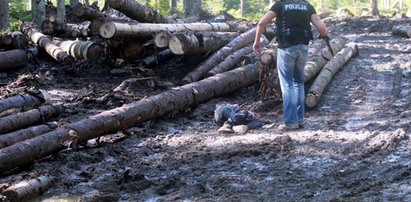 16-latek został zatłuczony młotkiem. Wypuścili podejrzanych