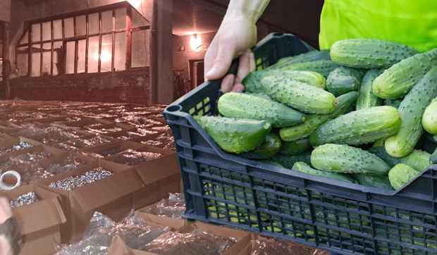 REKORDNA ZAPLENA DROGE U ISTORIJI SRPSKE POLICIJE