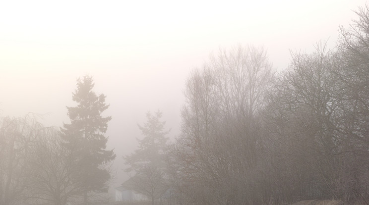 Ködös szombat reggel / Fotó: Northfoto