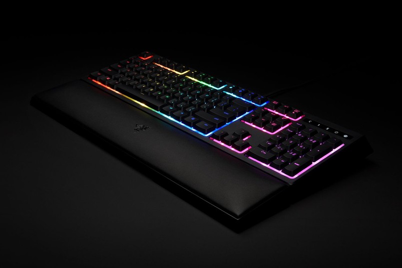 Razer Ornata to klawiatura w stylu laptopowej - jest całkowicie płaska (bez możliwości regulacji), z niskim skokiem klawiszy oraz z podświetleniem RGB, dostosowywanym indywidualnie do każdego klawisza (w sprzedaży jest też tańsza wersja, podświetlona tylko na zielono)