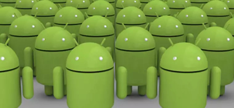 Android we wrześniu: Jelly Bean radzi sobie lepiej niż ICS?