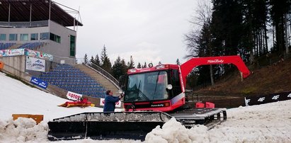 Nie ma zimy, jak będą skakać?