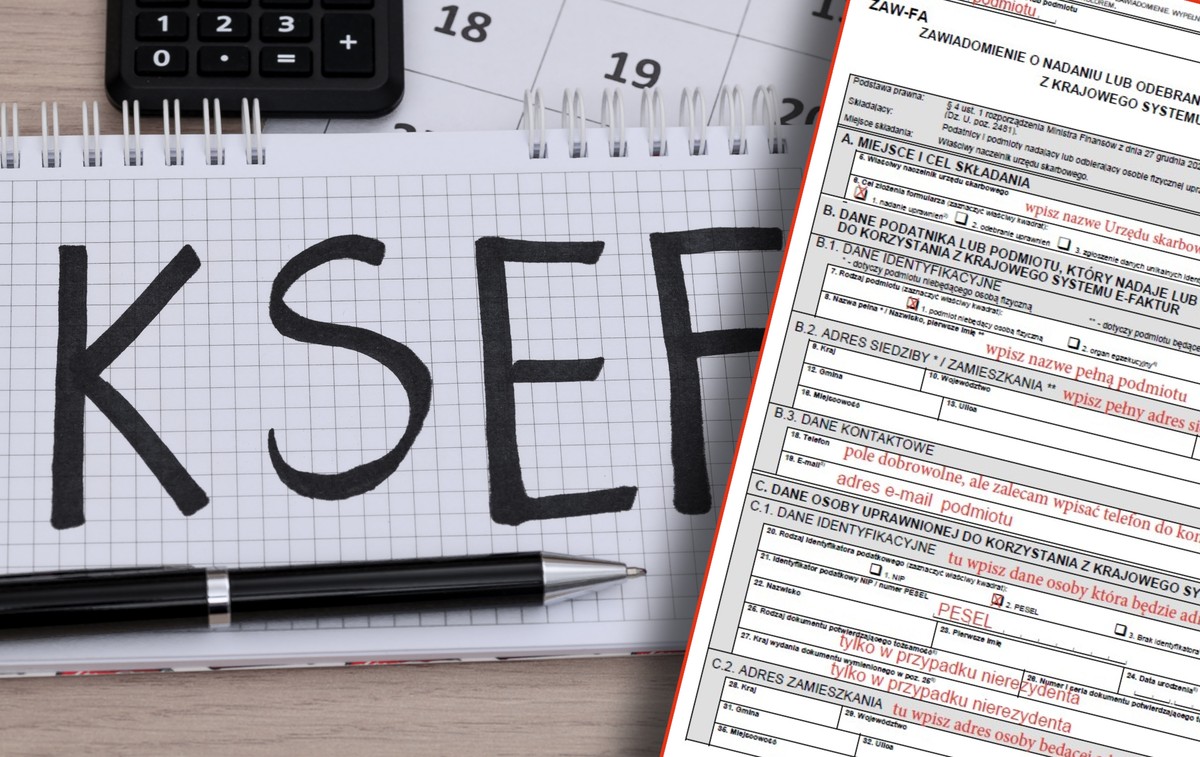 Ważny obowiązek w KSeF. Ten formularz muszą złożyć wszystkie spółki i fundacje