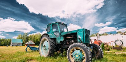 Maluszek biegał po podwórku. Nagle zniknął. Rozpaczliwy krzyk niósł się daleko