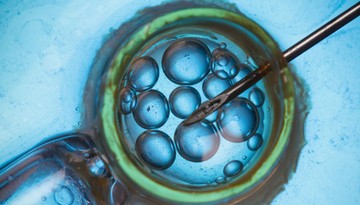 Czy mąż może zablokować przeniesienie zarodka do organizmu kobiety? Rzecznik praw obywatelskich zajął stanowisko