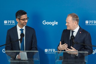 Eksperci: Google może zdobyć dostęp do naszych danych populacyjnych i na nich trenować swoje modele