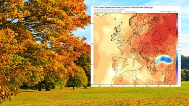 Lato szybko się nie skończy. Mamy najnowsze prognozy na wrzesień [MAPY]