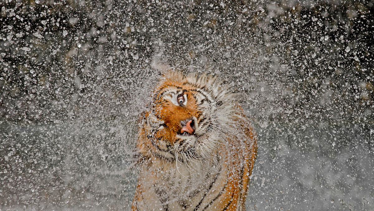 National Geographic Photography Contest 2012