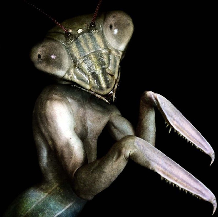 Foto: Francesco Sambo