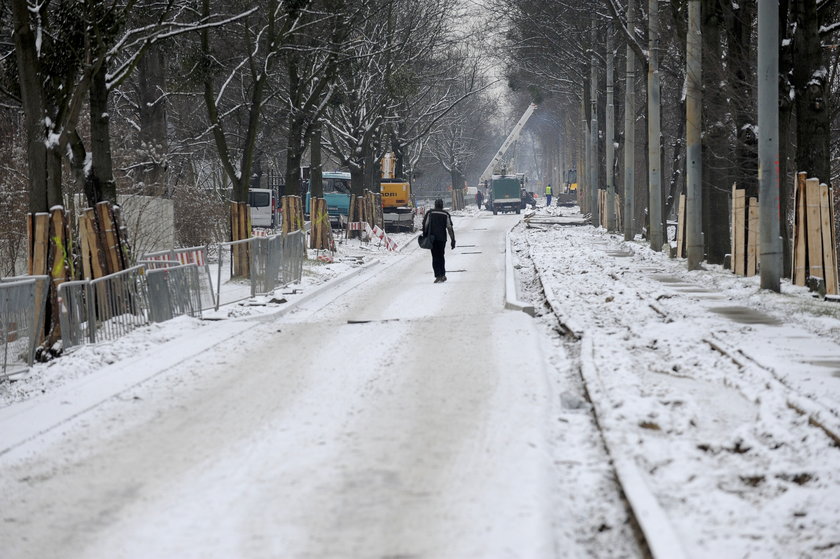 Ruszyła wycinka drzew i zrywanie torów