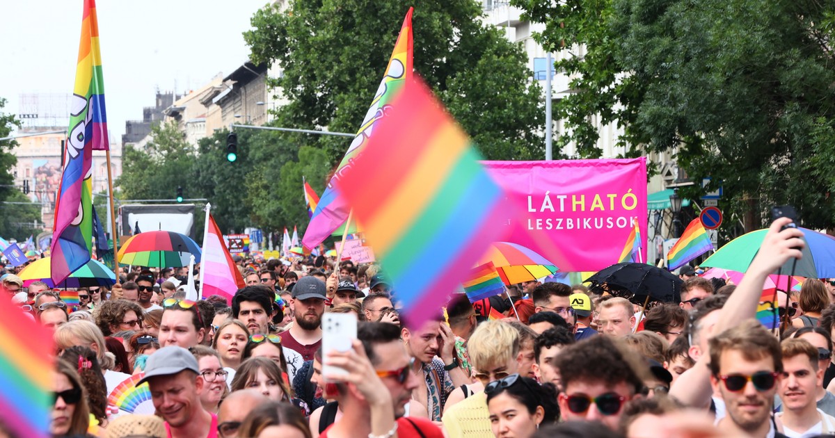 A Sziget vezetője bejelentette: náluk megtarthatják a Pride-ot