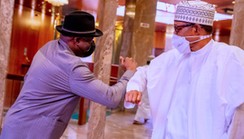 Buhari hails ex-President Jonathan at 65