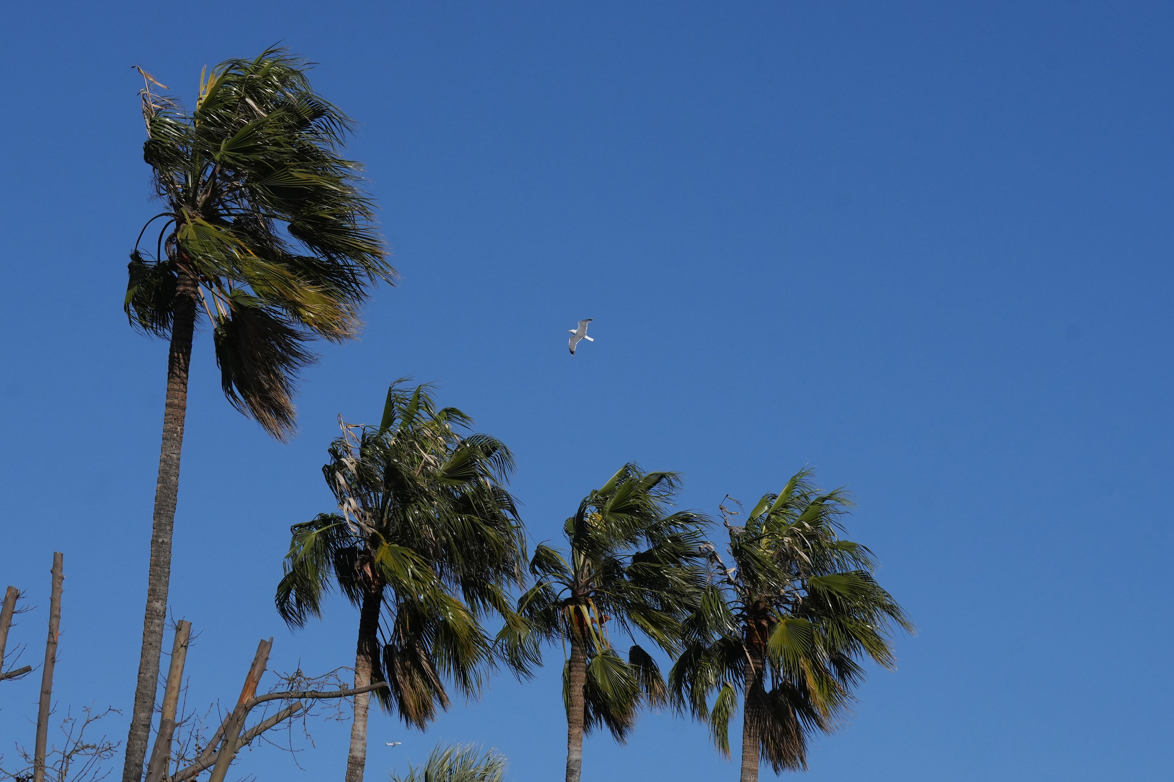 90 km/h de viento en Tarragona - La borrasca Oriana mantiene España en alerta