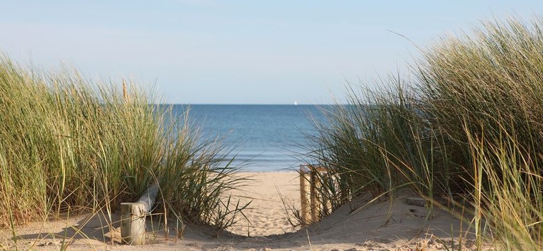 Na plaży jest praca. Ale na kokosy nie liczcie