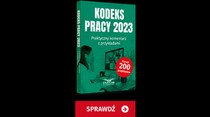 Kodeks pracy 2023. Praktyczny komentarz z przykładami