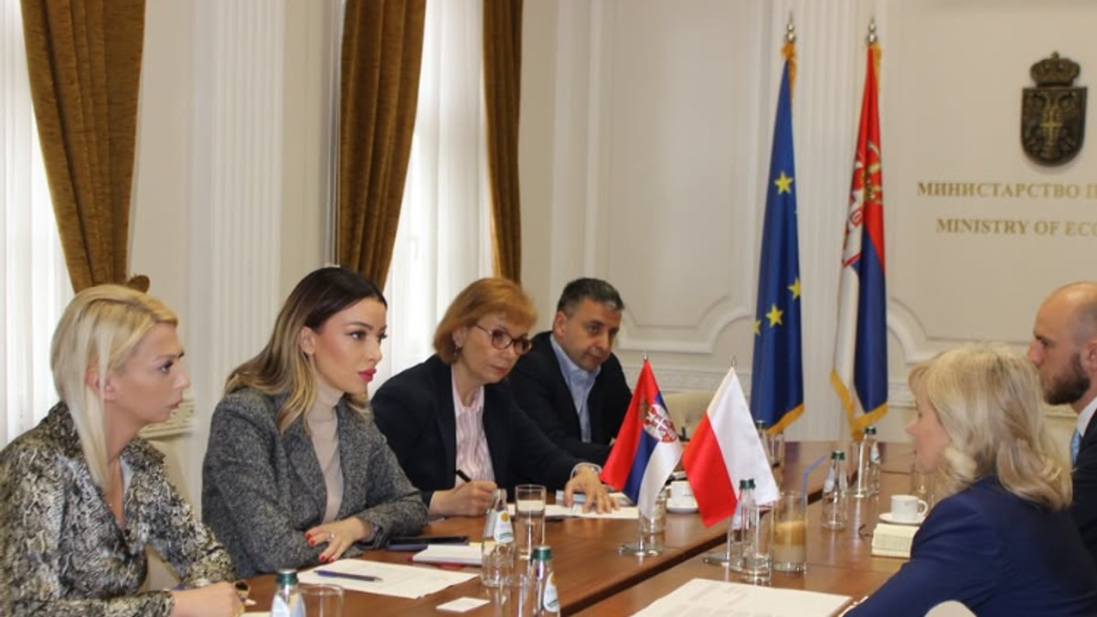 Mesarović se sastala sa ambasadorima