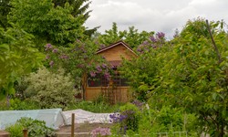 Ważne zmiany w ogrodach działkowych. Działkowcy mogą odetchnąć z ulgą?