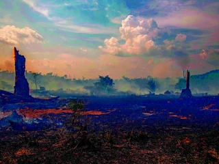 Pożary w Amazonii są zagrożeniem dla klimatu na całej planecie, tamtejsze lasy deszczowe dostarczają jedną piątą tlenu na Ziemi.Szalejące pożary są jaskrawym efektem niepohamowanego wzrostu ekonomicznego. W ostatnim roku w samej Brazylii tempo wycinki lasów wzrosło o 278 proc. (dane: Brazil’s National Institute for Space Research)