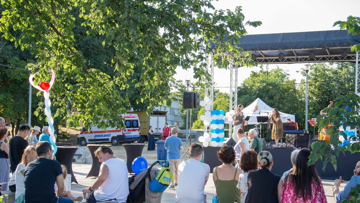Prvi "Novobeogradski Strit Art Festival", 2024.