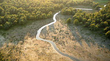 Chorwacki park krajobrazowy Kopački rit. Amazonia w Europie