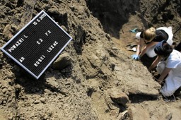 IPN odnalazł na Powązkach szczątki majora Zygmunta Szendzielarza "Łupaszki"