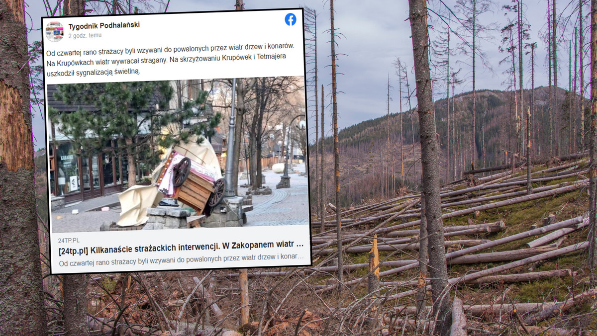 Zakopane w kleszczach halnego. Tak wygląda Podhale po wichurze [ZDJĘCIA]