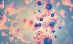 Zakażenia onkogennymi typami HPV