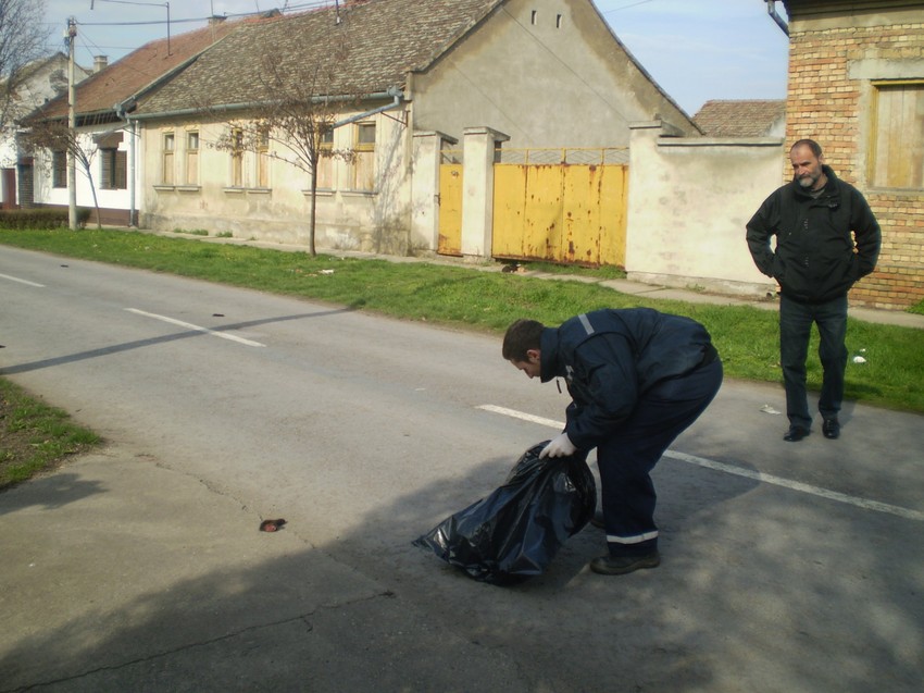 Policija sakuplja delove ubijene mačke po ulici