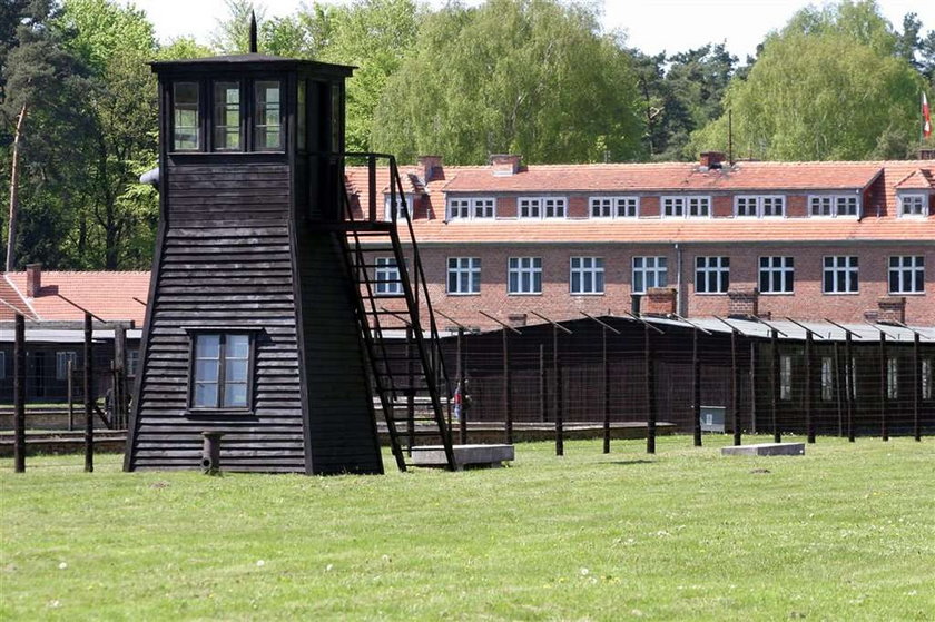 Komiks o obozie koncentracyjnym