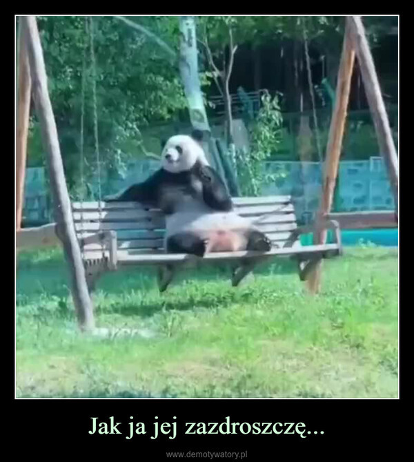 Najlepsze memy o pandach