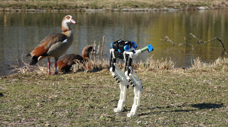 A BirdBot robotláb számos különböző funkciójú eszközhöz adhat alapot. Például alkalmas lehet óriási terhek cipelésére viszonylag kis energiabefektetéssel. / Fotó Max Planck Institute