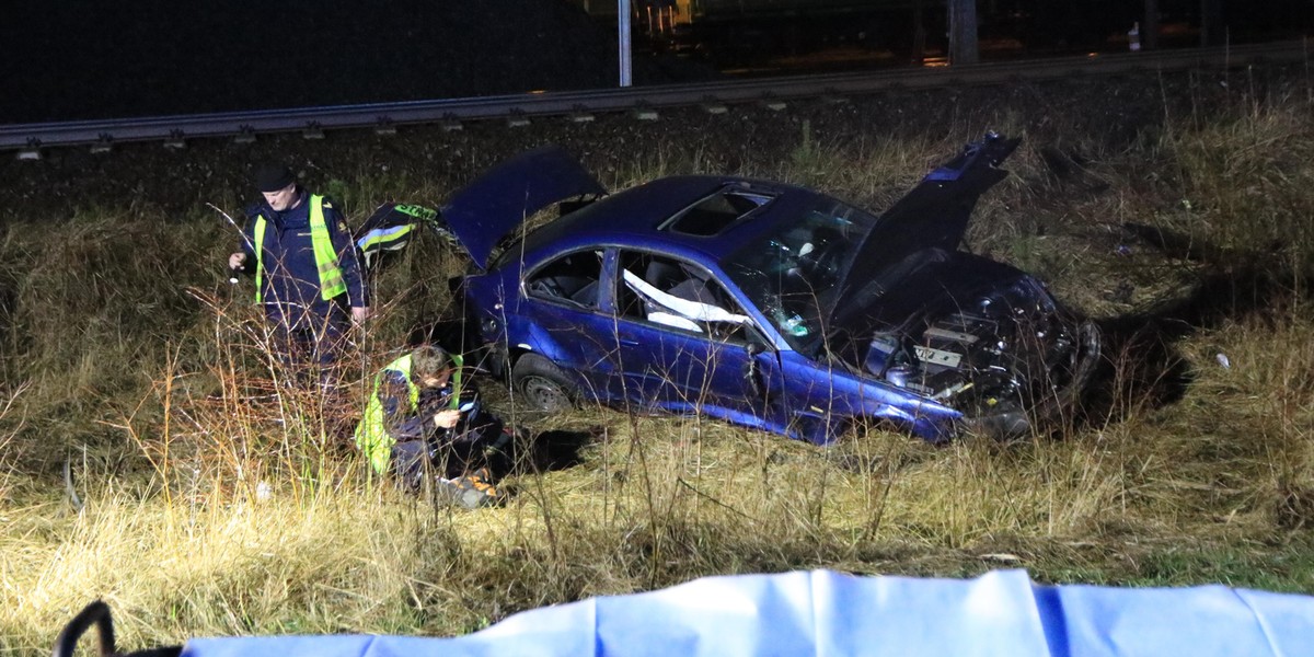 Świnoujście: Jechali do pracy, przed auto wyskoczył dzik. 1 osoba nie żyje