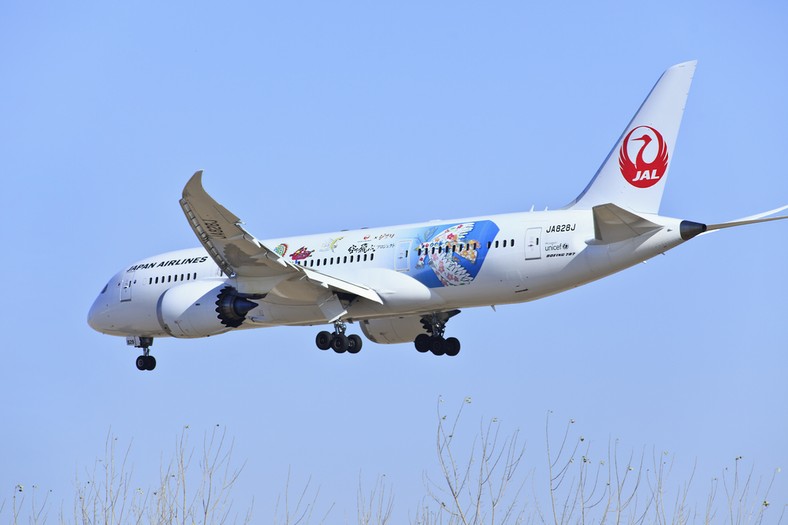 Boeing 787 Dreamliner japońskich linii Japan Airlines. Fot. TonyV3112 / Shutterstock.com