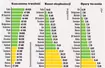 Test opon letnich w rozmiarze 195/65 R15 - trwałość, koszty eksploatacji