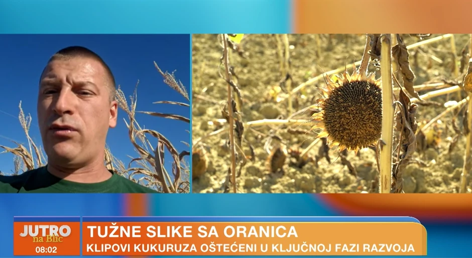 Goran Eror