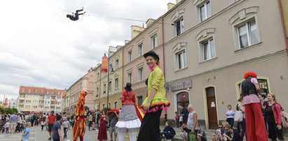 Ale cyrk! Festiwal OFCA znów zawita do Oleśnicy. Dlaczego warto tam zajrzeć? [WIDEO]