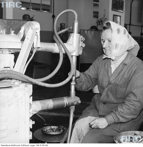 Przodownica zakładu pracy