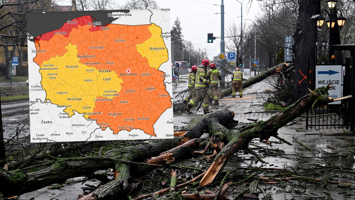 Duża wichura zagrozi Polsce. Wiemy, gdzie i kiedy będzie najgorzej [MAPY]