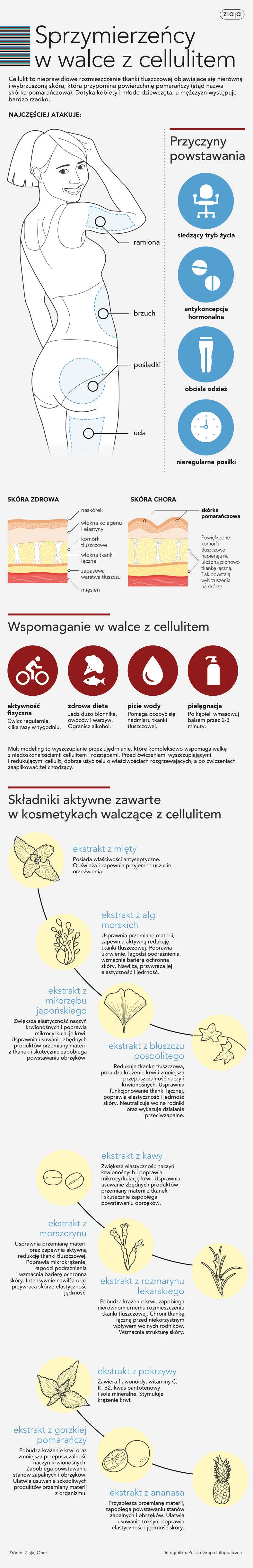 CELLULIT_3 infografika ziaja