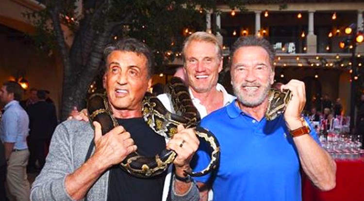 Sylvester Stallone, Dolph Lundgren, Arnold Schwarzenegger és a kígyó esete.