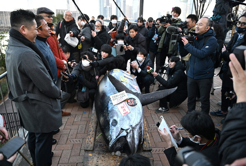 Rekordowa kwota na noworocznej aukcji tuńczyków w Tokio - 3,15 mln zł!