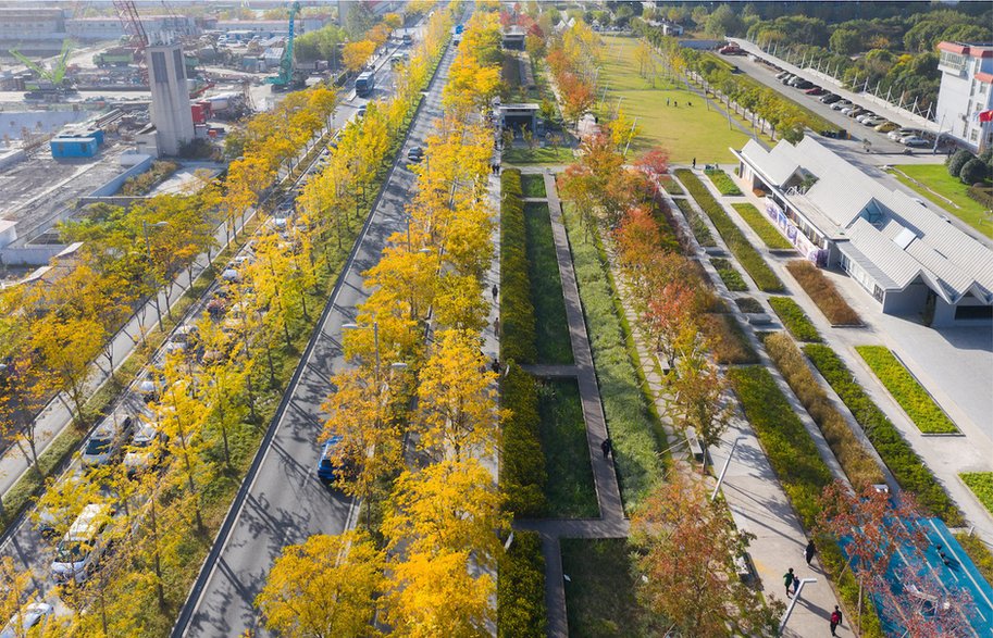 Lotnisko zmieniło się w park linearny o długości niemal dwóch kilometrów