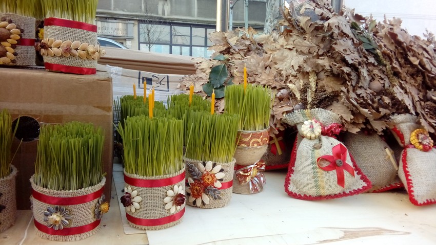 Mlada pšenica i badnjak  u vrećicama