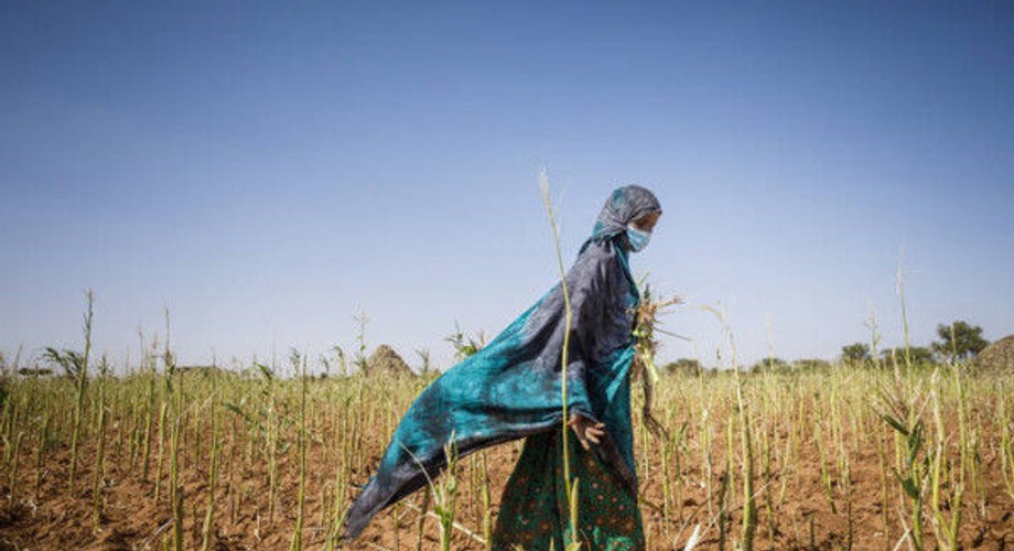 Food and Agriculture Organization (FAO)